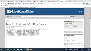 Bioinformatics; How to retrieve FASTA nucleotide sequence