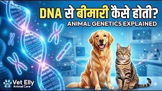 DNA से Disease तक | Veterinary Genetics Explained Simply | Dog & Cat Genetics in Hindi