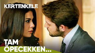 Lütfen Karınızı Öper Misiniz? - Kertenkele 80. Bölüm