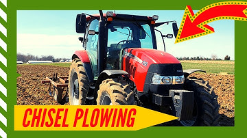 Chisel plowing - Case IH Maxxum 125 with Allis Chalmers chisel plow (2019)