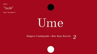 Shigeru Umebayashi - 5.36 (from the film "Incendiary")