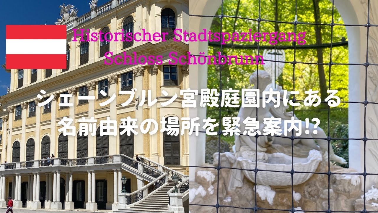 シェーンブルン宮殿庭園でまさかのハプニング！名前由来の場所ご案内に急遽変更しました
