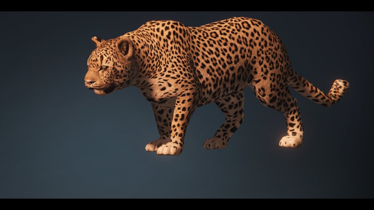 Leopard Location in Once Human