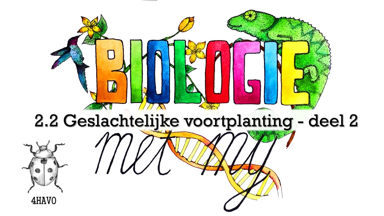 4H - 2.2 Geslachtelijke voortplanting deel 2 - YouTube