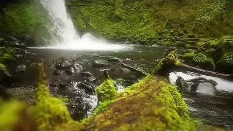 "وَلَا تَحْسَبَنَّ الَّذِينَ قُتِلُوا فِي سَبِيلِ اللَّهِ أَمْوَاتًا" آل عمران - القارئ/ أحمد سمير