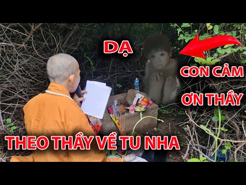 Cận Cảnh Sư Thầy Nói Chuyện Với ''VONG HỒN'' Của Bé Xấu Số Đưa Bé Về TU TẬP