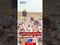 فلامنكو على التمن في العراق اي نيوز