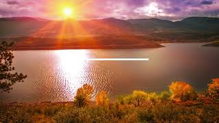 Zuid Mart Everything A Zuidlander Needs - Hd