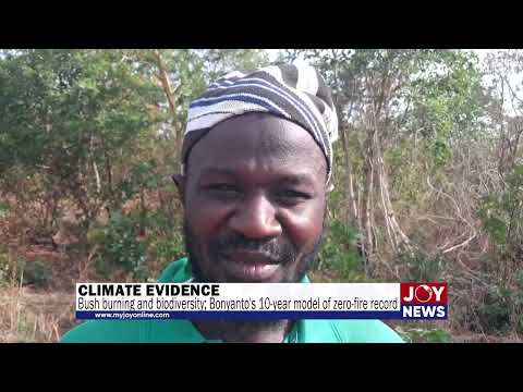 Climate evidence: Bush burning and biodiversity; Bonyanto's 10-year model of zero-fire record.