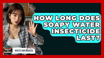 How Long Does Soapy Water Insecticide Last? - Insects and Invaders