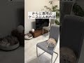 【ニトリ最強コンボ】#暮らしのアイデア #暮らし #暮らしの工夫 #便利グッズ #ニトリ