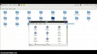 Linux File System Hierarchy