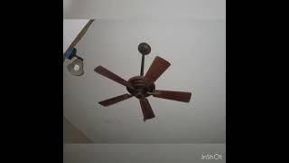 Ceiling Fan Show 1