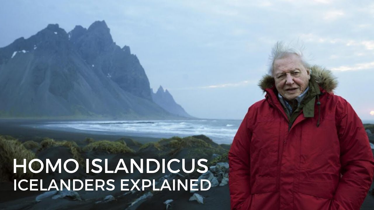 Icelandic Comedy Sample - Homo Islandicus - Icelanders Explained