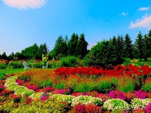 Flowers Garden 紫竹ガーデン 北海道ガーデン街道 Shichiku Garden 花の名所案内 Hokkaido Flower Garden Youtube