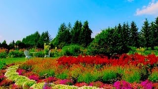 帯広の紫竹ガーデン 多彩な花々が楽しめるおばあちゃんのイングリッシュガーデン