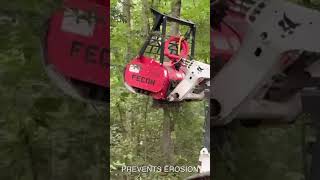 Showing our Mulching Services