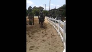 Jasper winning Green Hunter U/S
