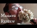 Marang fruit review  weird fruit explorer aux philippines  ep 85