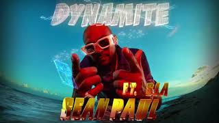 Sean Paul - Dynamite (ft. Sia) [Official Instrumental] Resimi