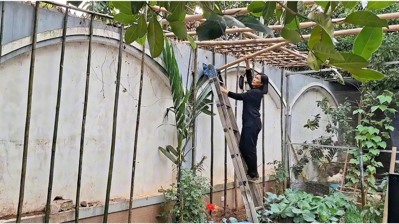 Thuy Gardening | Small Garden Upgrade: DIY Bamboo Trellis for Climbing Plants