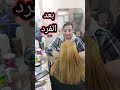 هايلايت مع فرد بروتين 