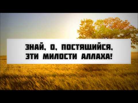 Знай, о, постящийся, эти милости Аллаха! || Абу Яхья Крымский
