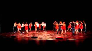 Show Salsa Capoeira - MAC Créteil