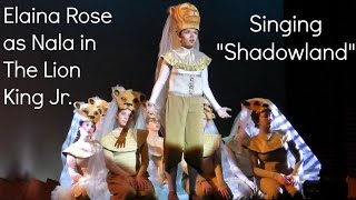 Shadowland Lion King Jr.