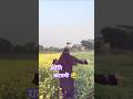 Funny comments Bangla, part 31|| CF2. #shorts #funnycomment