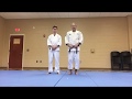 Nihon Goshin Aikido ~ Front Wrist Throw Application Leads to Come Along Application on the Ground
