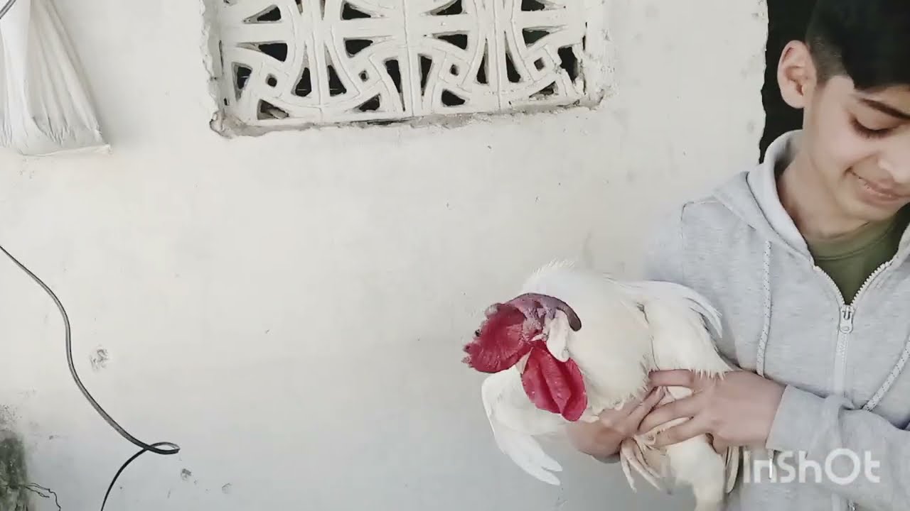 Aj cousin ka ghar patang bazi ki❤️aur kahuta wapsi ho gai♥️