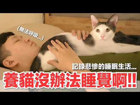 【好味小姐】養貓沒辦法睡覺啊！記錄悲慘的睡眠生活...｜好味貓日常151