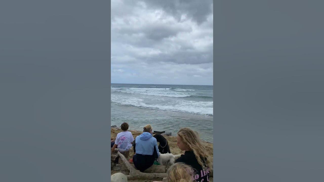 Coconuts Restaurant At Hideaway Beach Cabarete Dominican Republic YouTube