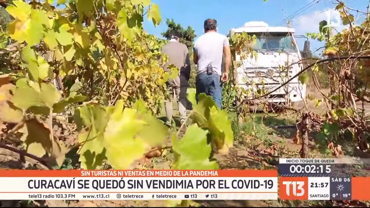 Sin turistas ni ventas en medio de la pandemia: Curacaví se quedó sin vendimia por COVID-19