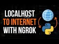 Connect Python Scripts To Internet With Ngrok