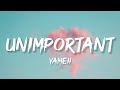 Unimportant ft yameii lyrics