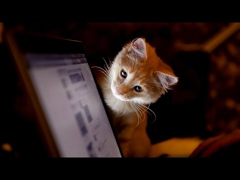 ТОП 10 САМЫХ ПОПУЛЯРНЫХ ХОББИ в МИРЕ