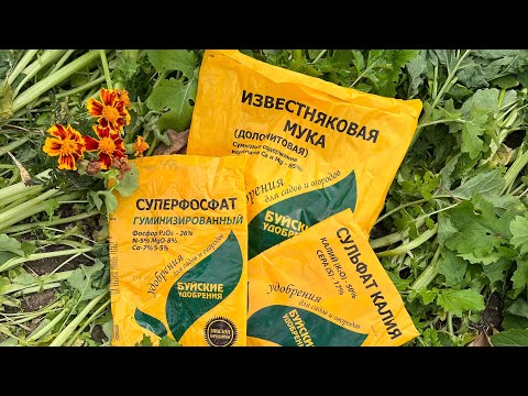 Пятигорск қаласындағы жүктілік кезіндегі ультрадыбыстық