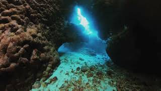 Epic Red Sea Deep South Dive  With @transformationnation Scuba Vlog #divewithme