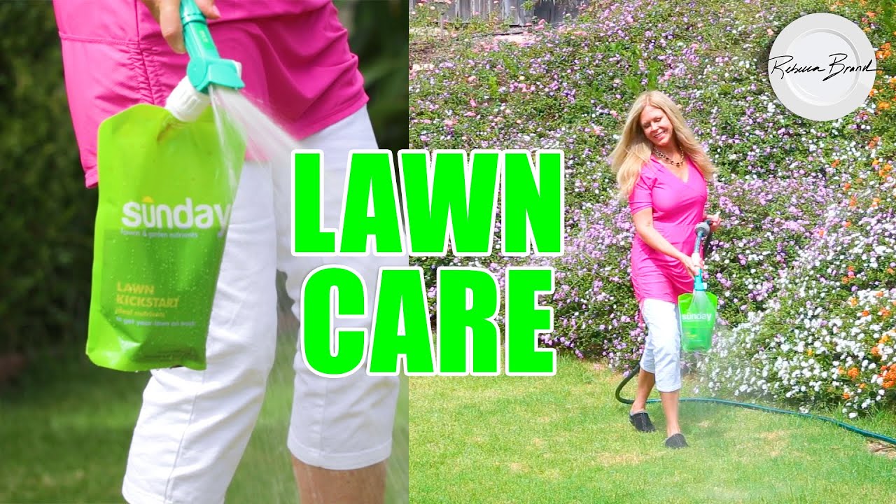 How To Take Care of Your Yard | Sunday Lawn Care Review