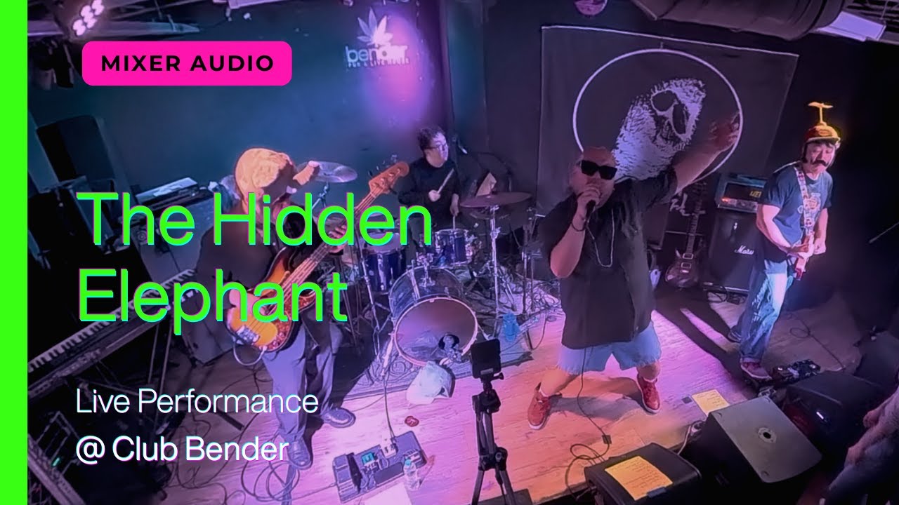 'The Hidden Elephant' Live at Club Bender | Korean Band