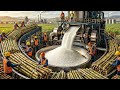 How Millions Of Raw Sugarcane Are Turned into Sugar (Full Factory Process)