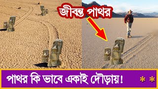 জীবন্ত পাথর। যে পাথর একাই চলতে ও দৌড়াতে পারে !