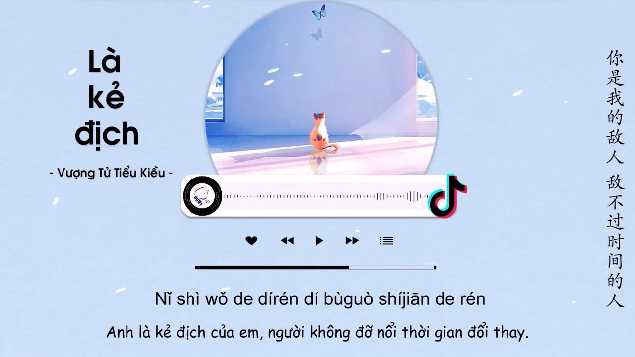 Video YouTube