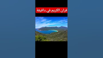 آيات.من.سورة.الزمر.سعود.الشريم #اكسبلور #في #quran #المصحف #nature#لايك #ترند  #flowers #duet