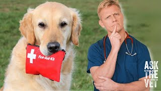 First aid kit for your dog?! Pet first aid tips for beginners! Part One | ASK THE VET with Dr Scott