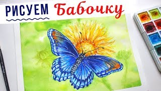 Скетчинг для начинающих. Уроки рисования. Как нарисовать бабочку? Скетчинг для начинающих. Уроки рисования. Как нарисовать бабочку?