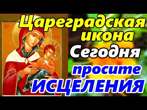 Самая СИЛЬНАЯ МОЛИТВА Иконе Божией Матери Цареградская об ИСЦЕЛЕНИИ в праздник иконы