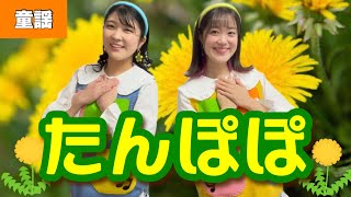 たんぽぽ
